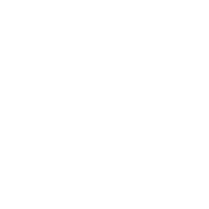 National Science Foundation
